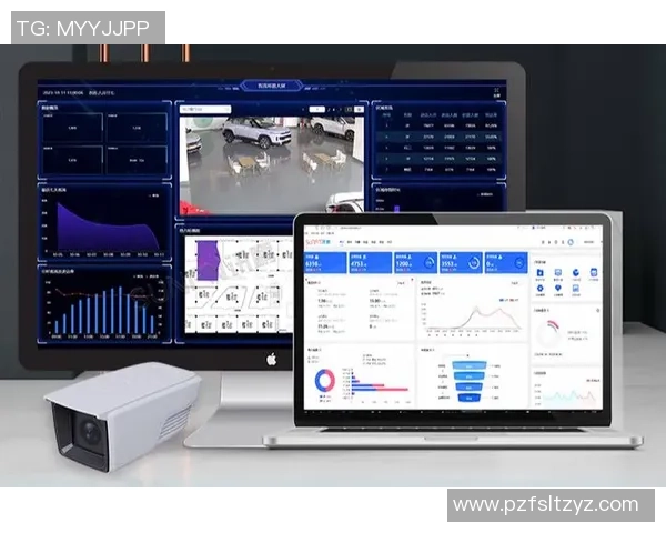 数据分析：TES的力量表现